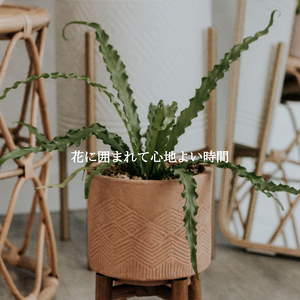 Artistic Hotel Brunching