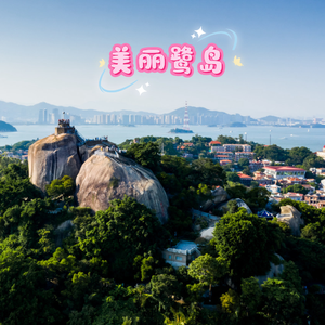 美丽鹭岛