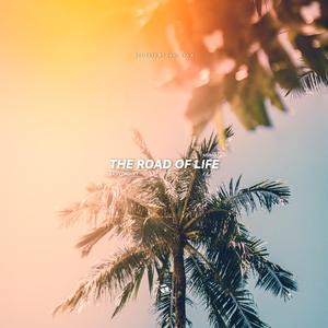 The Road Of Life