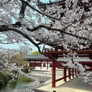 “劫”- 中国风×Cashtrippy×udg×民族 type beat