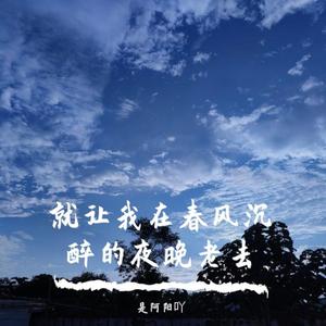 就让我在春风沉醉的夜晚老去