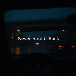 Never Said It Back