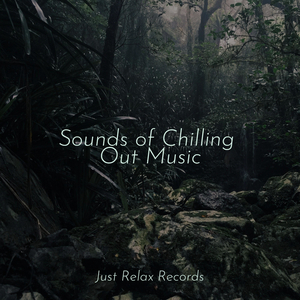 Enchanted Luminance Trail