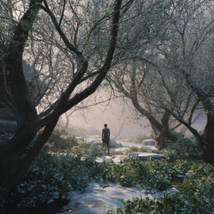 我把心事埋在未醒的春天