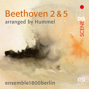 Symphony No. 5 in C Minor, Op. 67: II. Andante con moto (Arr. by Hummel)