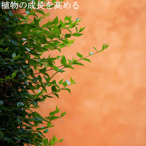 Hot Winter Surprises