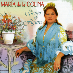 Los Silencios del Camino