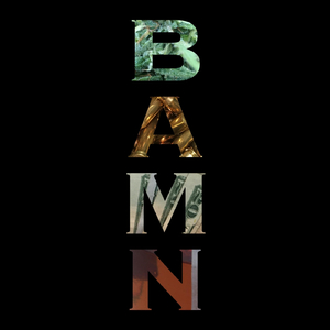 B.A.M.N.