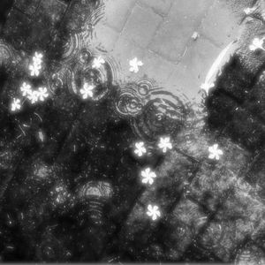 你總說心痛於我(prod.by Morrow x FAS)