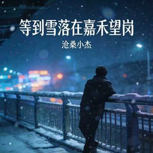 等到雪落在嘉禾望岗