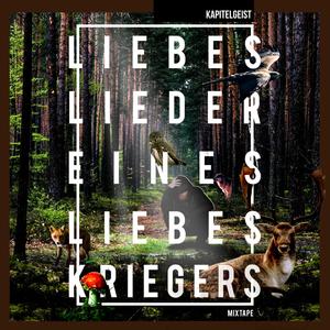 Ich rap´ nicht weil ich will