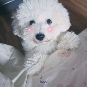 《环游心跳节拍》