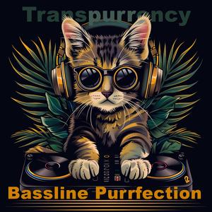Bassline Purrfection