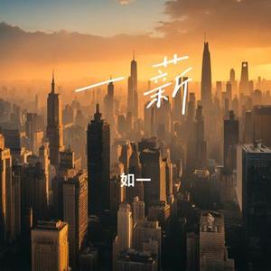 玫瑰从不慌张