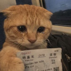 “抑痛吟” sadpiano x samplevocal x 痛苦旋律伴奏