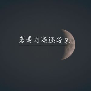 若是月亮还没来