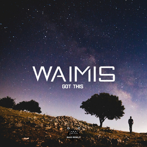 Got This (Original Mix)