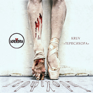 Дельфинами