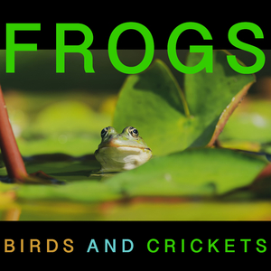 Frogs and Birds