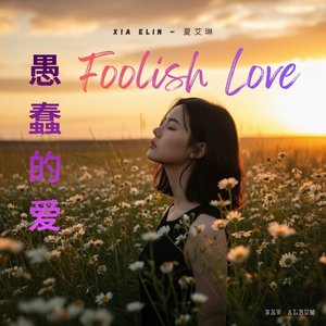 爱的伤痕 (The Scars of Love)