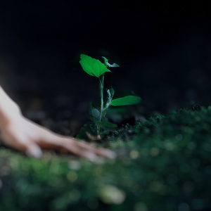 si je meurs, tu fais quoi ? (Amakuno rework)