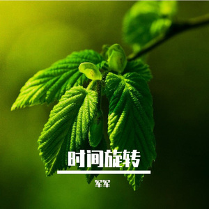 浓缩蓝鲸 (精美音乐)