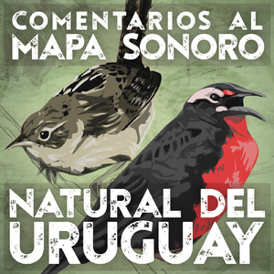Comentarios al Mapa Sonoro Natural del Uruguay