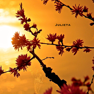 Julieta