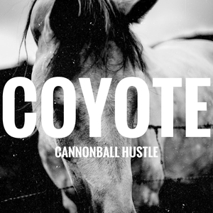 Coyote