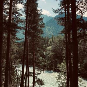 Ya nenavizhu gul mashin