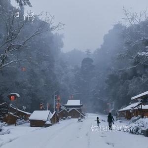 看完这场雪就告别