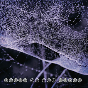 Heliotropic