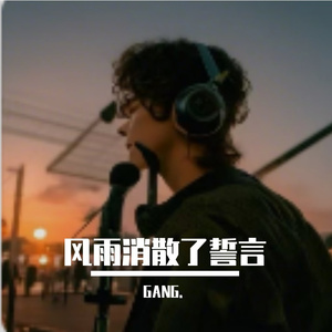 风雨消散了誓言