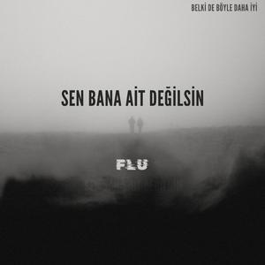 sen bana ait değilsin