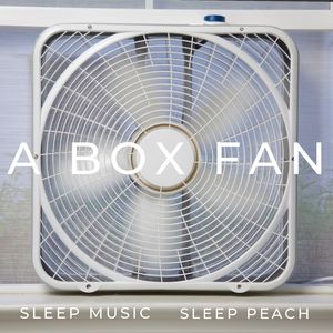 Real Fan