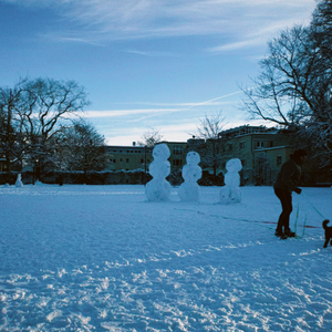 Happy Xmas (War Is Over)