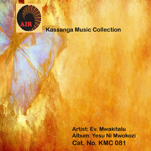 Panda Gari La Mwokozi