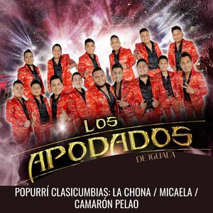 Popurrí Clasicumbias: La Chona / Micaela / Camarón Pelao