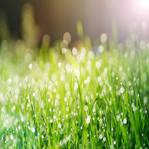 마음이 맑아지는 선율 (명상 시간)