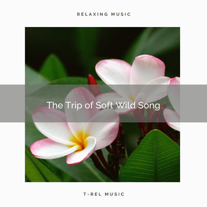 Experience Unique Relax with Unique Nature Tunes for Recharge pt. 1