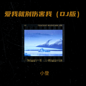 爱我就别伤害我(DJ版)
