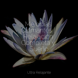 Brisa A Través De Las Edades