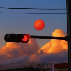 只身回望太匆匆