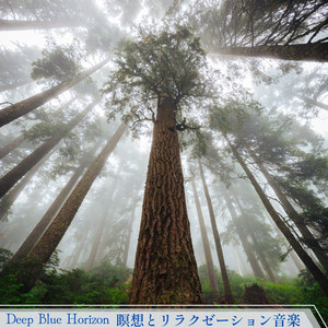 Let's Play Some Music