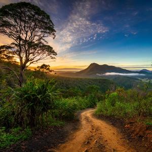 꿈속 여행 (Dream Journey)Ⅱ