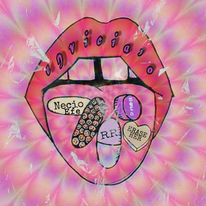 Envicia'o (Remix)