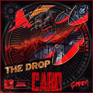 DJ Snake/Gammer/Gammer-Propaganda & THE DROP(CARO Mashup)（DW Remix）