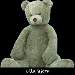 Lilla Björn