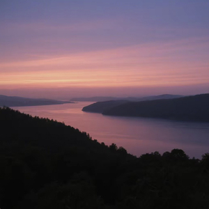 失望攒够就离开