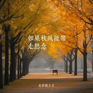 如果秋风能带走思念